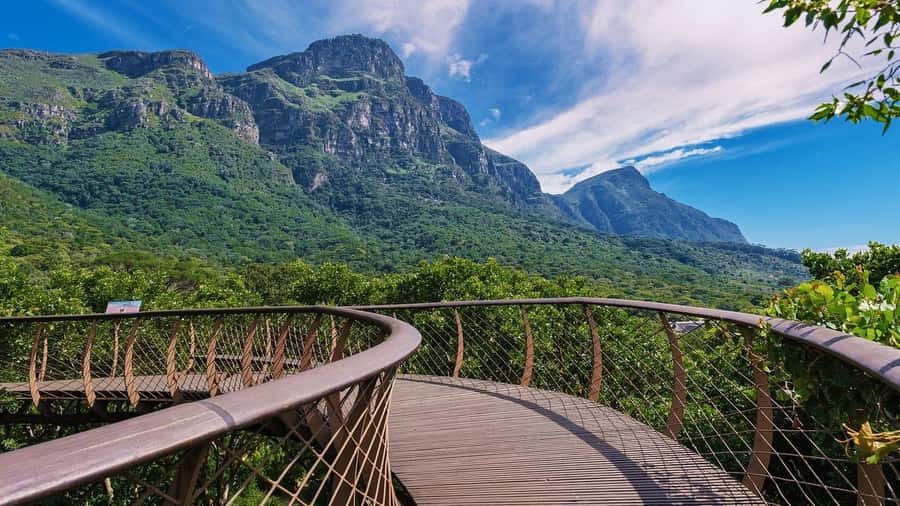 Explore Table Mountain, Kirstenbosch, & Constantia wineries. - Door-to-Door Pickup, Plus a Real Private Pace