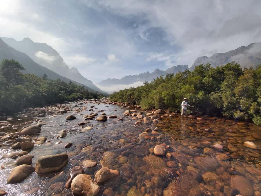 Fly Fishing in Cape Town - How You’ll Fish: Light Tackle, Stalking, and Sight Fishing for Trout