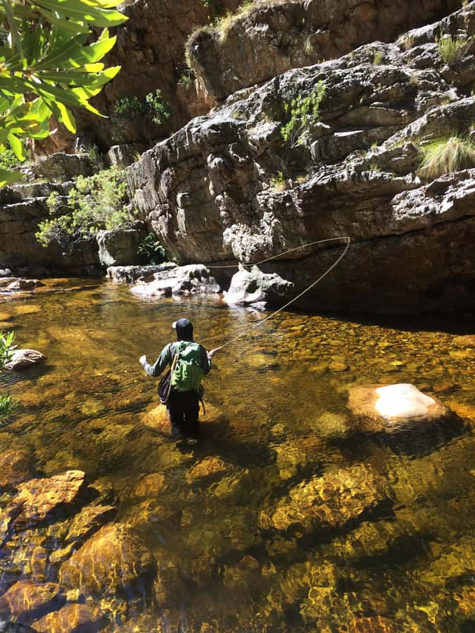Fly Fishing in Cape Town - The Guides, and Why the Small Group Size Changes Everything