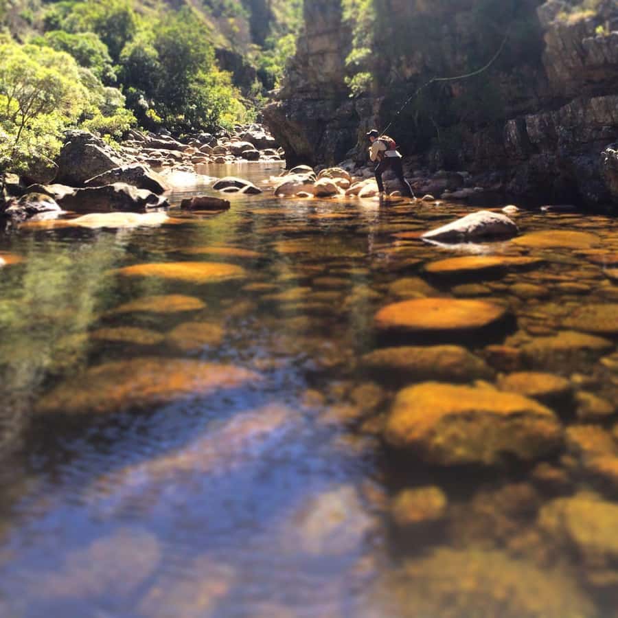 Fly Fishing in Cape Town - Lunch by the River: Local, Organic Food and a Real Break