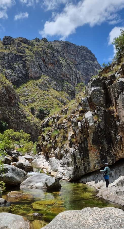 Fly Fishing in Cape Town - Price and Value: Is $280 per Person Worth It?
