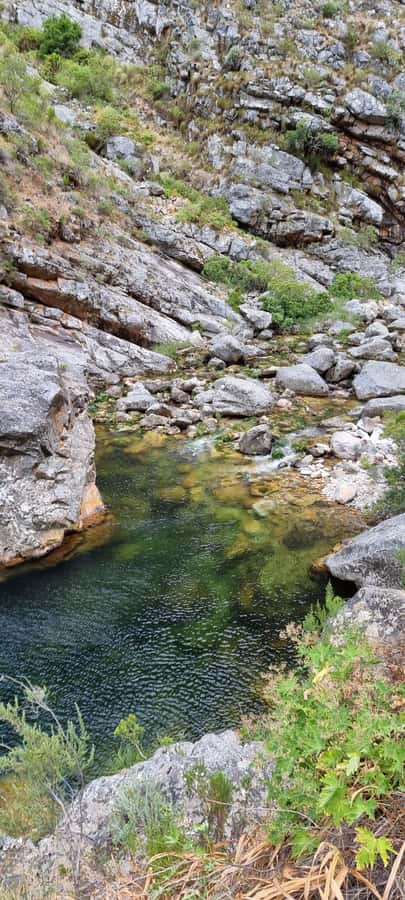 Fly Fishing in Cape Town - How to Prepare for the Day: Fitness, Age, and Clear Communication