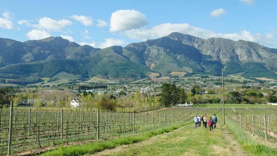 Franschhoek: An enchanting storytelling walk to 3 wine farms - Quick hits: what makes this Franschhoek wine walk work