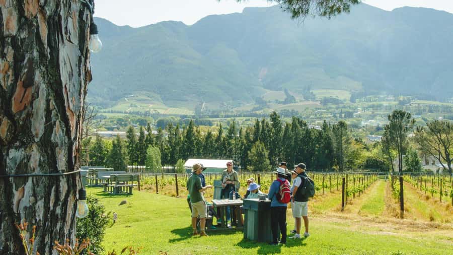 Franschhoek: An enchanting storytelling walk to 3 wine farms - Mont Rochelle: the first wine stop with panoramic momentum