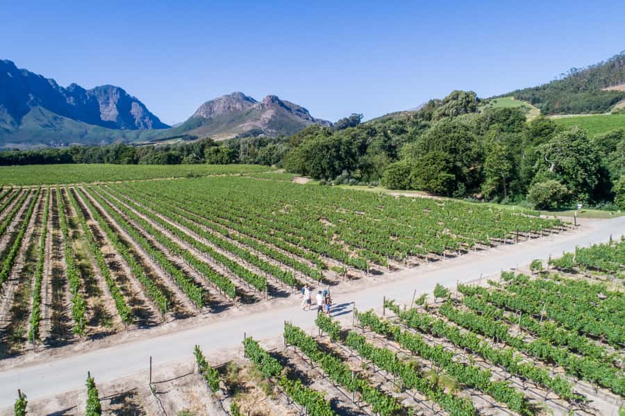 Franschhoek: An enchanting storytelling walk to 3 wine farms - The short tuk-tuk moment and the last walk back