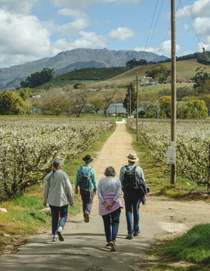 Franschhoek: An enchanting storytelling walk to 3 wine farms - What you get for about $171: value for wine, food, and guidance