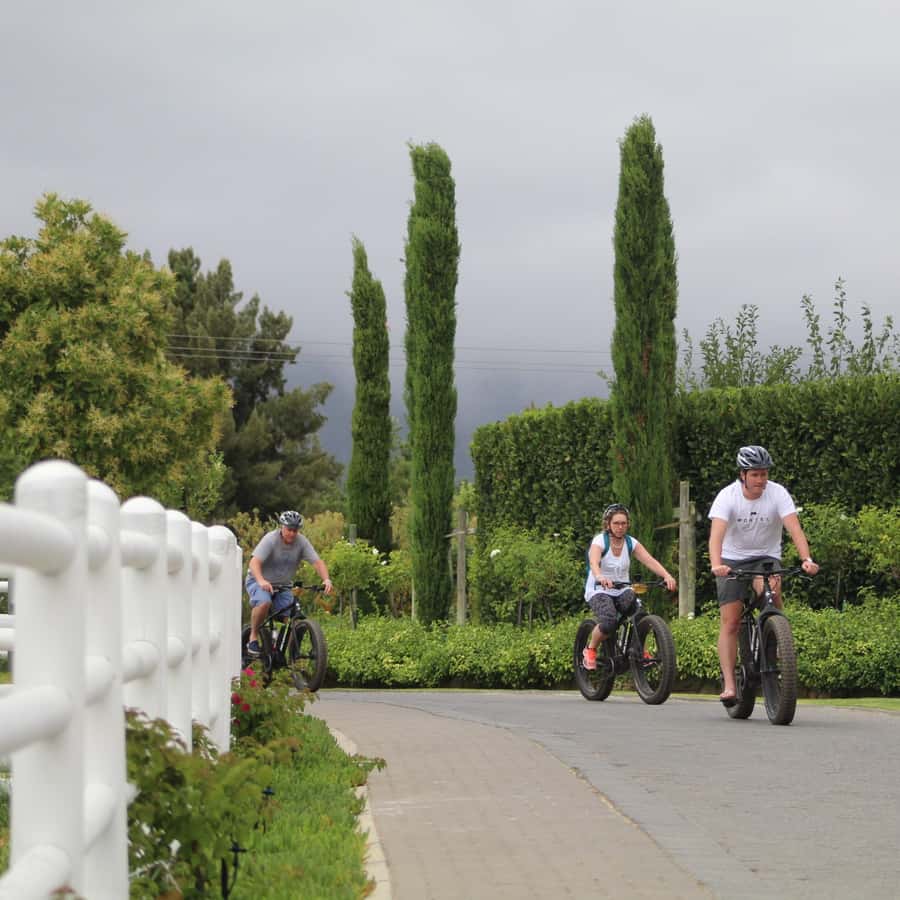 Franschhoek: E-Bike Guided Winery Tour - Safety Briefing First, Then Scenic Riding That Feels Effortless