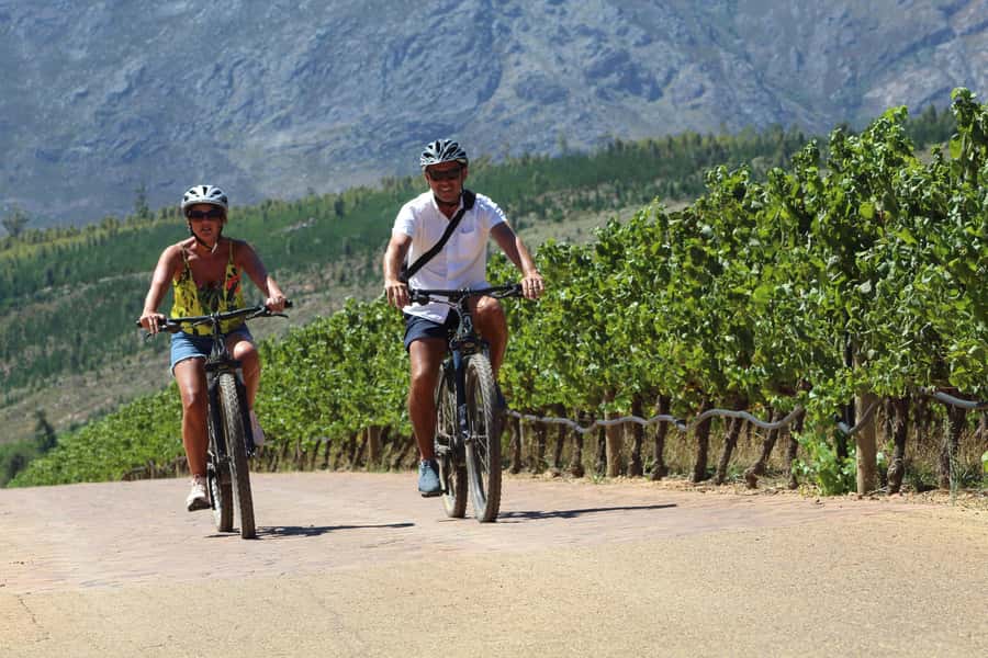 Franschhoek: E-Bike Guided Winery Tour - Meeting at Vinebikes Franschhoek, Then Getting Set for the Ride