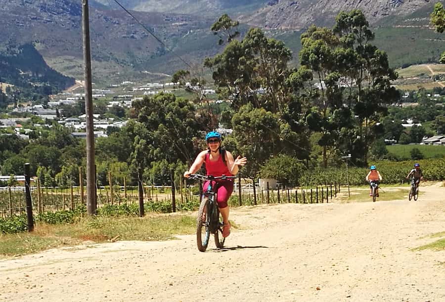 Franschhoek: E-bike Tour with Wine Tasting and Lunch - The Big Picture: A Half-Day Ride That Feels Like a Full-Day Adventure