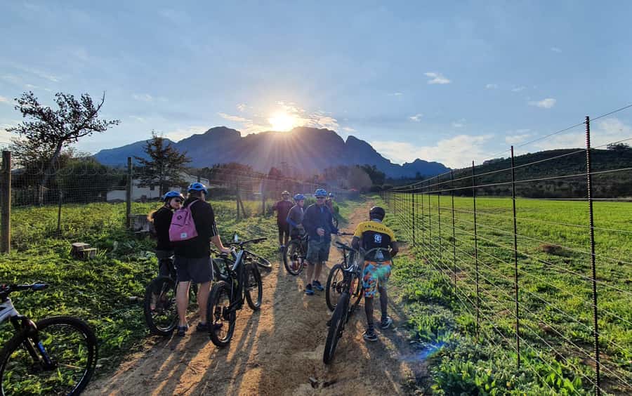 Franschhoek: E-bike Tour with Wine Tasting and Lunch - Banhoek Conservancy Trails: Streams, Streams, and Possible Wildlife