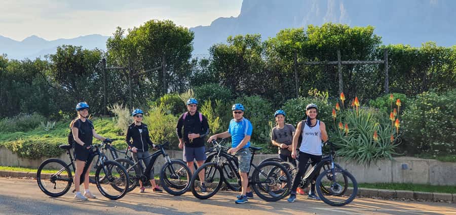 Franschhoek: E-bike Tour with Wine Tasting and Lunch - Lunch and Wine Tasting in Franschhoek: The Reward Portion