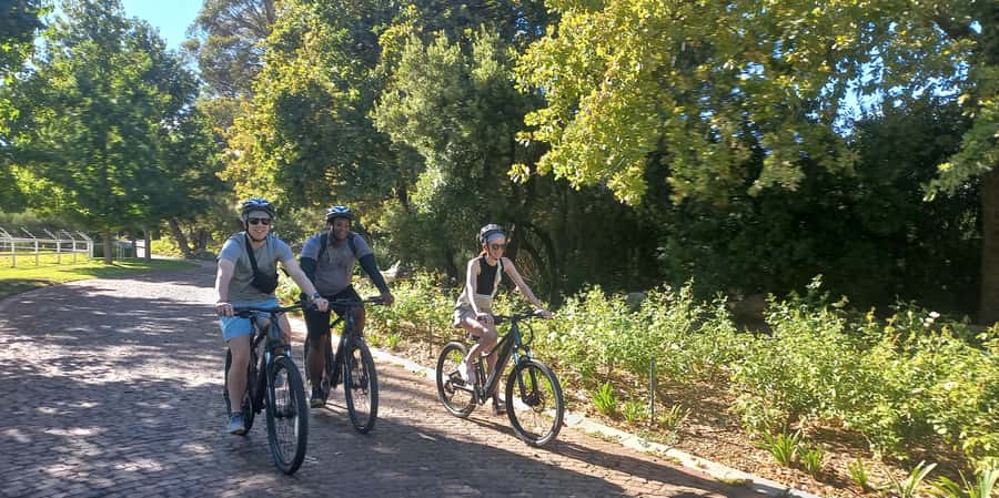 Franschhoek E-Bike & Wine Tour - Why Franschhoek feels made for an e-bike wine tour