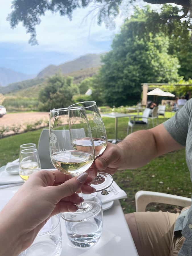 Franschhoek E-Bike & Wine Tour - Stop 1: Wildeberg Wines, where the ride turns into winery time