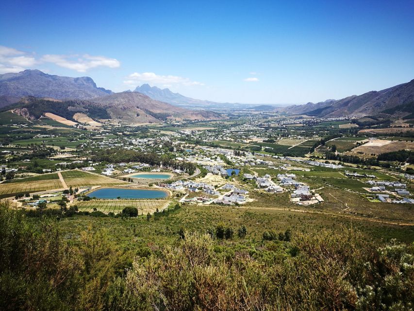Franschhoek E-Bike & Wine Tour - Riding details that actually affect your comfort