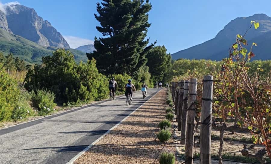 Franschhoek: E-Bike & Wine Tour (Shared Tour) - Key Things I’d Bet On