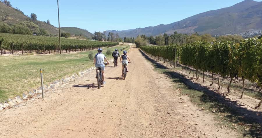 Franschhoek: E-Bike & Wine Tour (Shared Tour) - Should You Book It?