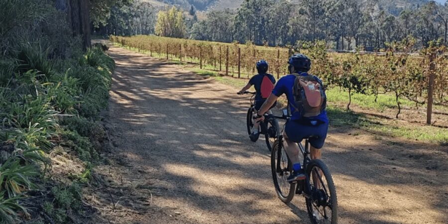 Franschhoek: E-Bike & Wine Tour (Shared Tour) - Snacking, Water, And What Keeps The Day Comfortable