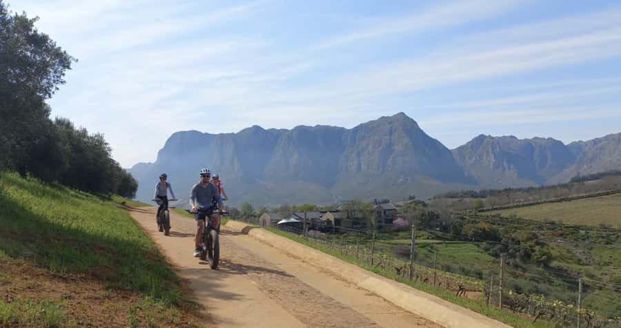 Franschhoek: E-Bike & Wine Tour (Shared Tour) - A Few Tips So You Enjoy The Tastings More