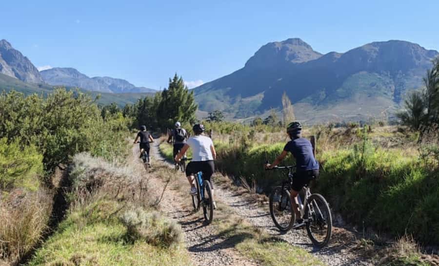 Franschhoek: E-Bike & Wine Tour (Shared Tour) - The 4-Hour Rhythm: Bike Fitting To Returning Back