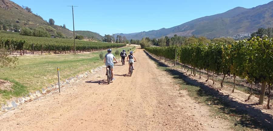 Franschhoek E-Bike & Wine Tour - Old Road Wine Co. is a practical, easy place to start