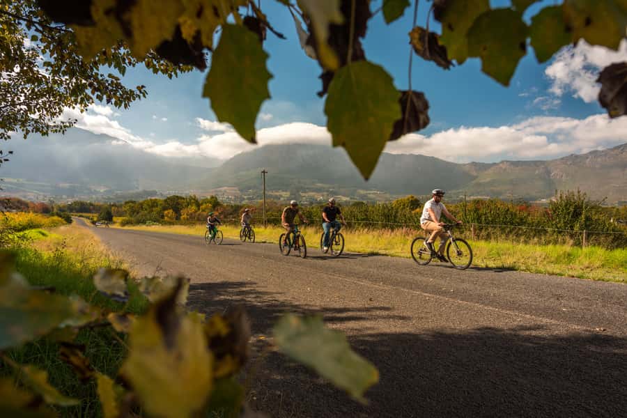 Franschhoek: Private E-bike Ride & Wine Experience - Glenwood Vineyards: boutique winemaking and terroir-focused sips