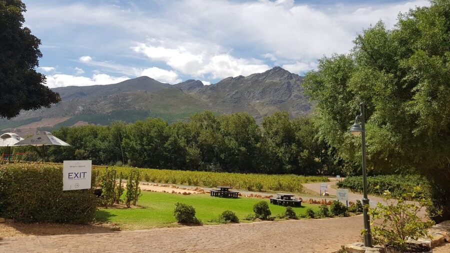 Franschhoek & Stellenbosch: Full-Day Wine Tour - Why Stellenbosch and Franschhoek is the best combo for one full day