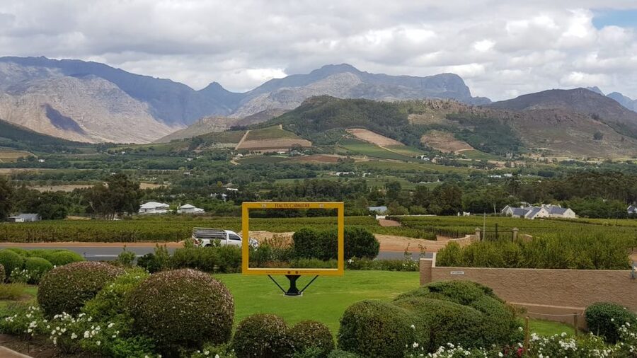 Franschhoek & Stellenbosch: Full-Day Wine Tour - A tasting-and-production day, not just a souvenir sip