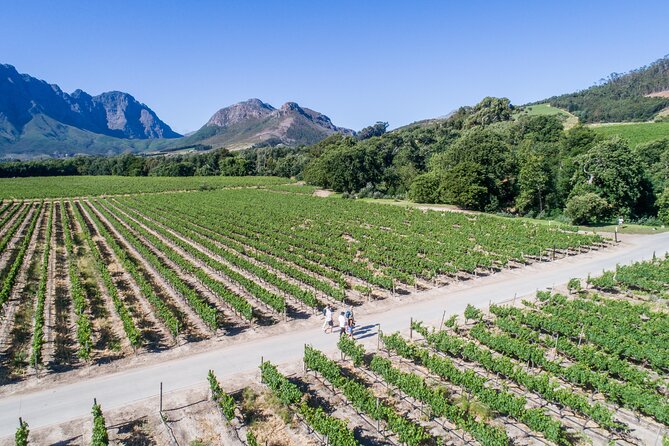 Franschhoek Wine Walk with Lunch - Why walking Franschhoek beats doing it by car