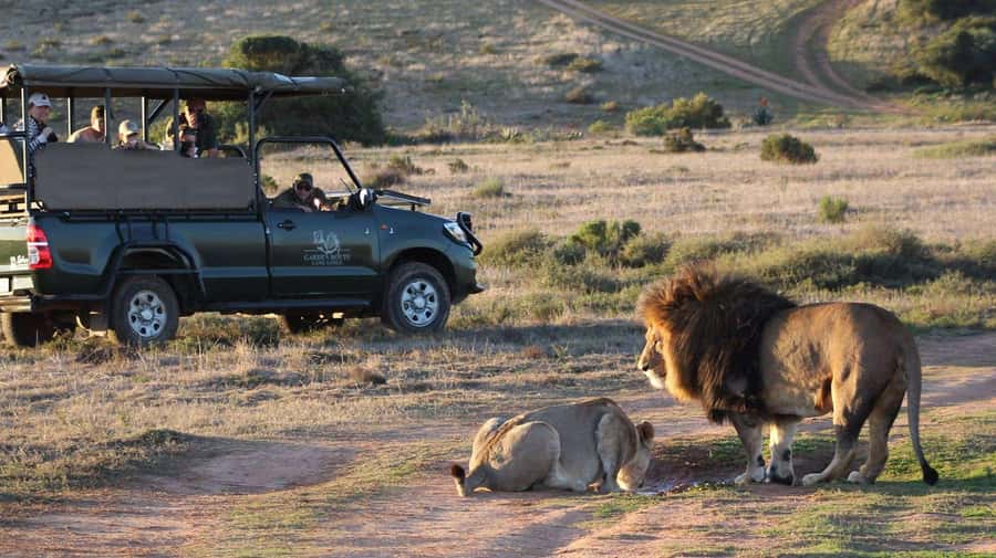 From Cape Town: 2-Day Safari at Garden Route Game Lodge - Cape Town to Cape Agulhas: what the long drive buys you
