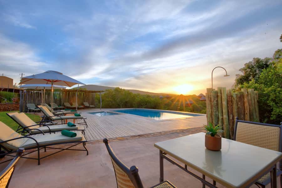 From Cape Town: 2-Day Safari at Garden Route Game Lodge - Who this safari package fits best