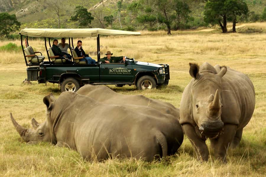 From Cape Town: 3-Day Garden Route Highlights and 4x4 Safari - Key highlights at a glance