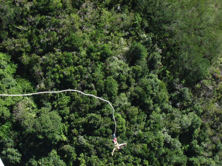 From Cape Town: 3-Day Garden Route Highlights and 4x4 Safari - Bloukrans Bridge bungy and the smart fallback plan