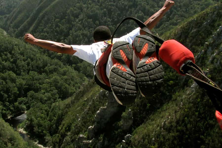 From Cape Town: 3-Day Garden Route Highlights and 4x4 Safari - Day 3: Botlierskop 4x4 safari in malaria-free country
