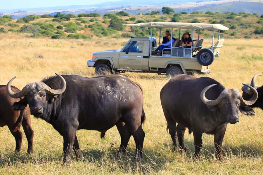 From Cape Town: 3-Day Garden Route Highlights and 4x4 Safari - What you are paying for, and where the extras show up