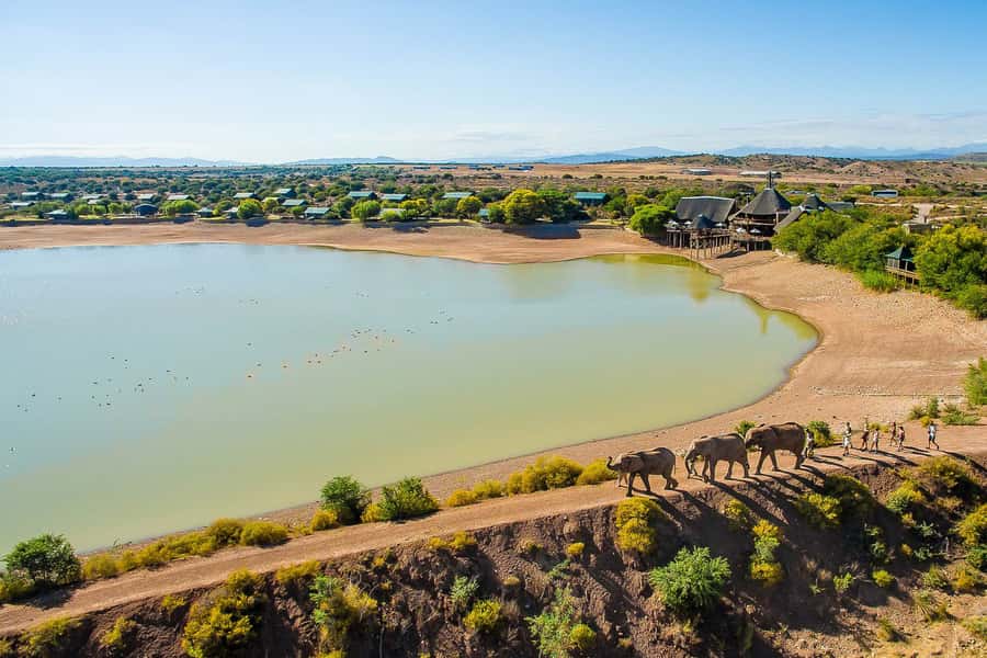 From Cape Town: 3-Day Garden Route Highlights and 4x4 Safari - Cango Caves: Heritage Tour versus the more physical Adventure style