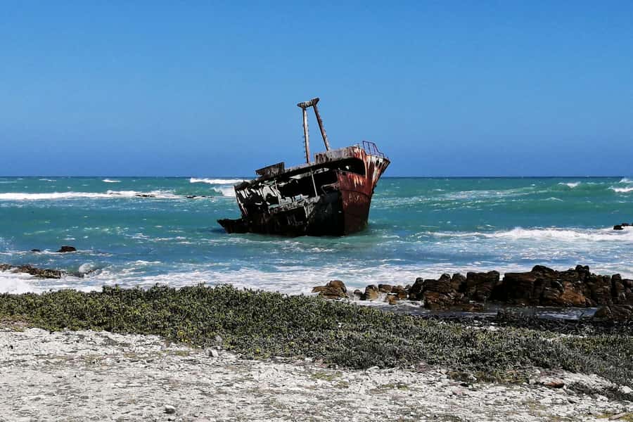 From Cape Town: 3-Day Garden Route Safari and Coastal Tour - Who This Trip Suits Best (And Who Might Find It Too Much)
