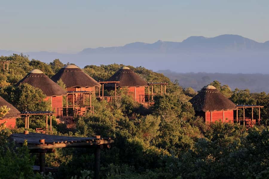 From Cape Town: 3-Day Garden Route Safari and Coastal Tour - Garden Route Game Lodge Safari: Two Game Drives, Open-Vehicle Reality, and Real Chances