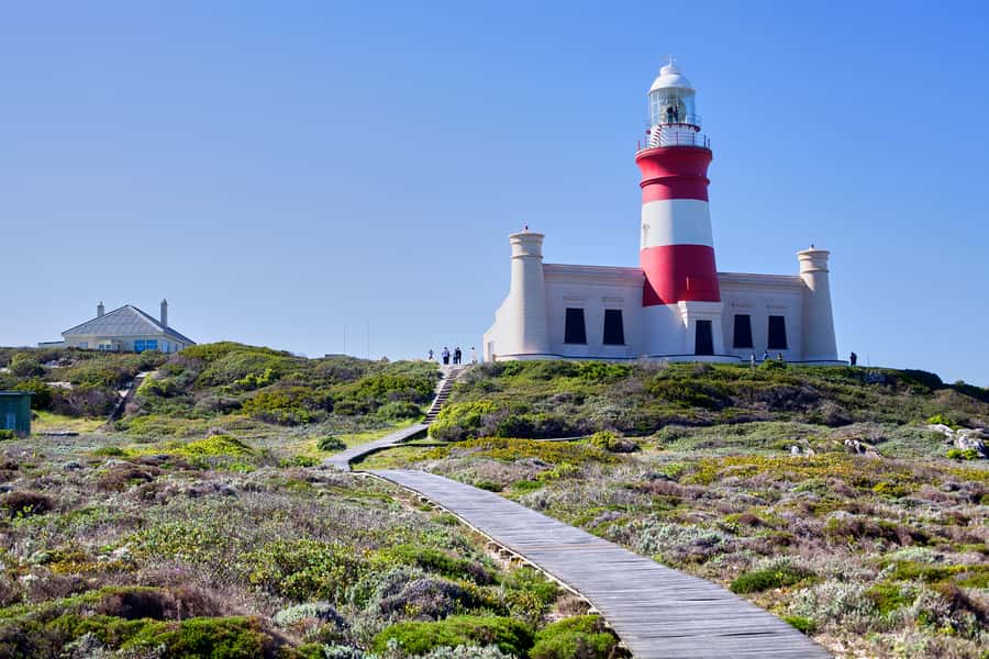 From Cape Town: 3-Day Garden Route Safari and Coastal Tour - Wildlife Expectations: What You Can Plan For, and What You Should Keep Flexible