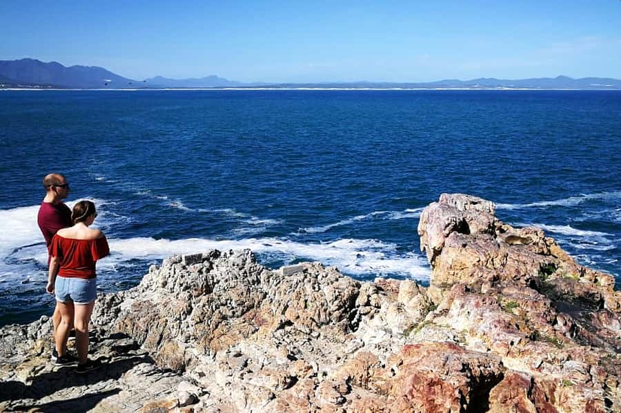 From Cape Town: 3-Day Garden Route Safari and Coastal Tour - Route 62 Back to Cape Town: Mountains, Towns, and Wine Tasting