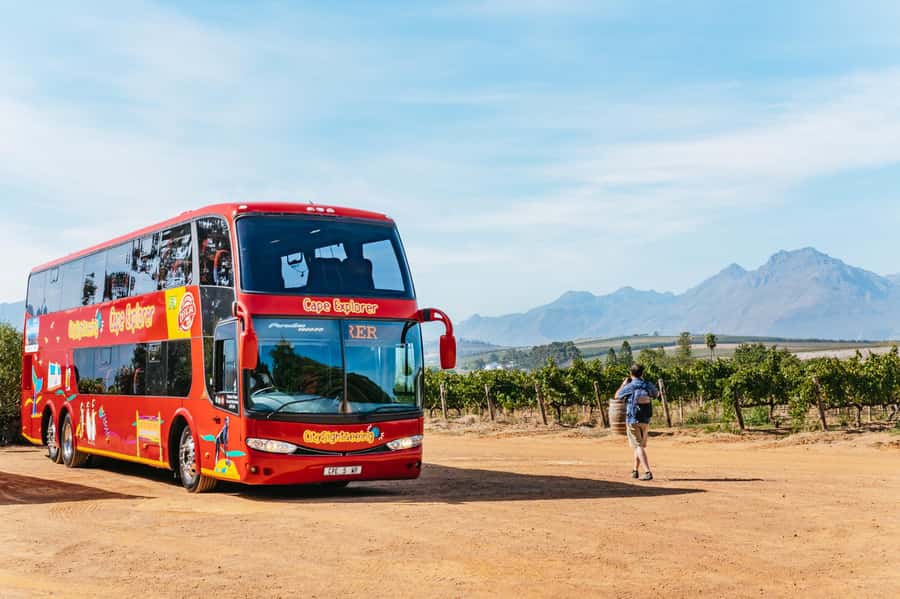 From Cape Town: 3 Regions Wine Tour with 3 Estates, 15 Wines - Getting started from Cape Town: pickup timing that actually matters