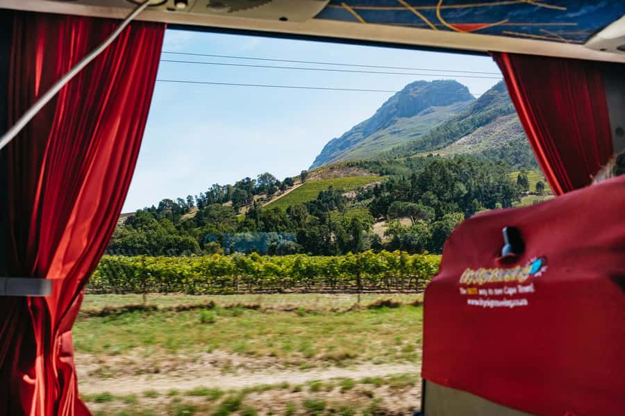 From Cape Town: 3 Regions Wine Tour with 3 Estates, 15 Wines - Franschhoek tasting time, plus lunch that is up to you