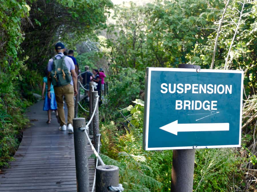 From Cape Town: 5-Day Best of Garden Route and Addo Safari - Key highlights worth penciling in