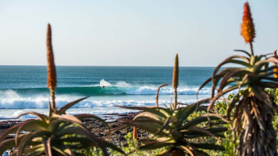 From Cape Town: 5-Day Best of Garden Route and Addo Safari - Day 2: Cango Caves and the padstal flavors before Addo country