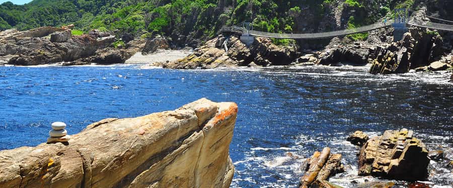 From Cape Town: 5-Day Best of Garden Route and Addo Safari - Addo Elephant National Park: Big Five style on a tight wildlife window