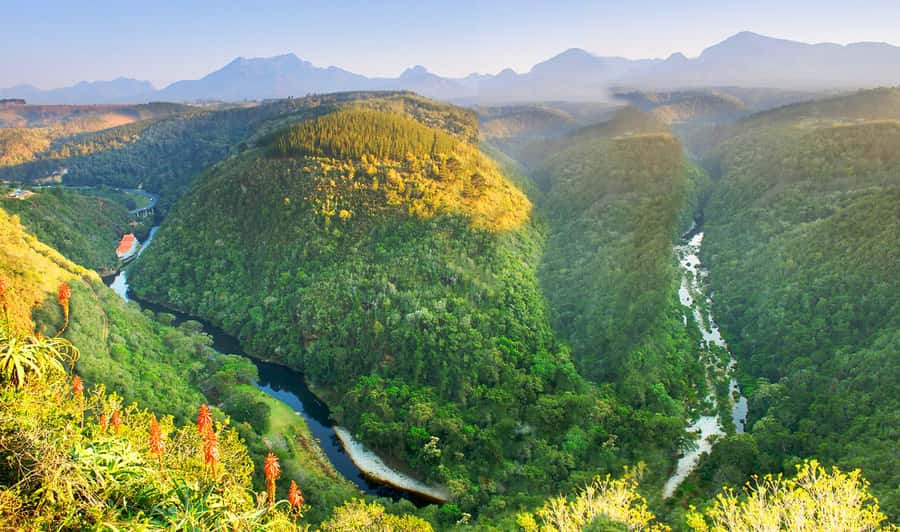 From Cape Town: 5-Day Best of Garden Route and Addo Safari - Botlierskop private reserve: the final 4x4 safari push