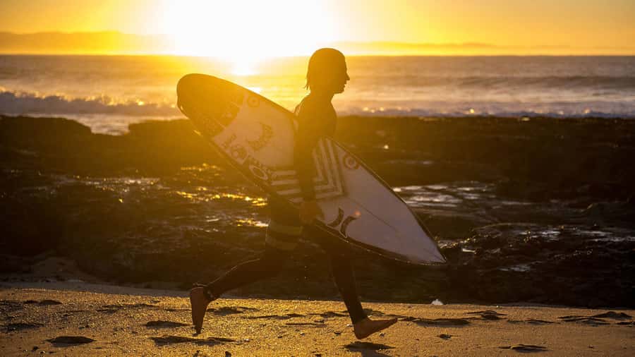 From Cape Town: 5-Day Best of Garden Route and Addo Safari - Where guides make the trip feel like more than a schedule