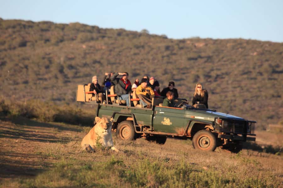 From Cape Town: 5-Day Garden Route & Addo Elephant Park Tour - Key Points That Make This Tour Worth Your Time