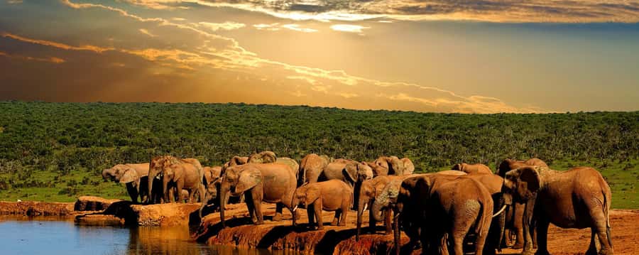 From Cape Town: 5-Day Garden Route & Addo Elephant Park Tour - How This 5-Day Garden Route and Addo Tour Really Fits Together