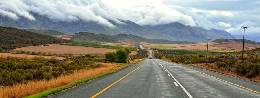 From Cape Town: 7-Day Garden Route, Addo and Winelands Combo - Cape Winelands wine tastings, Wine Tram at Rickety Bridge, and Cape Point penguins