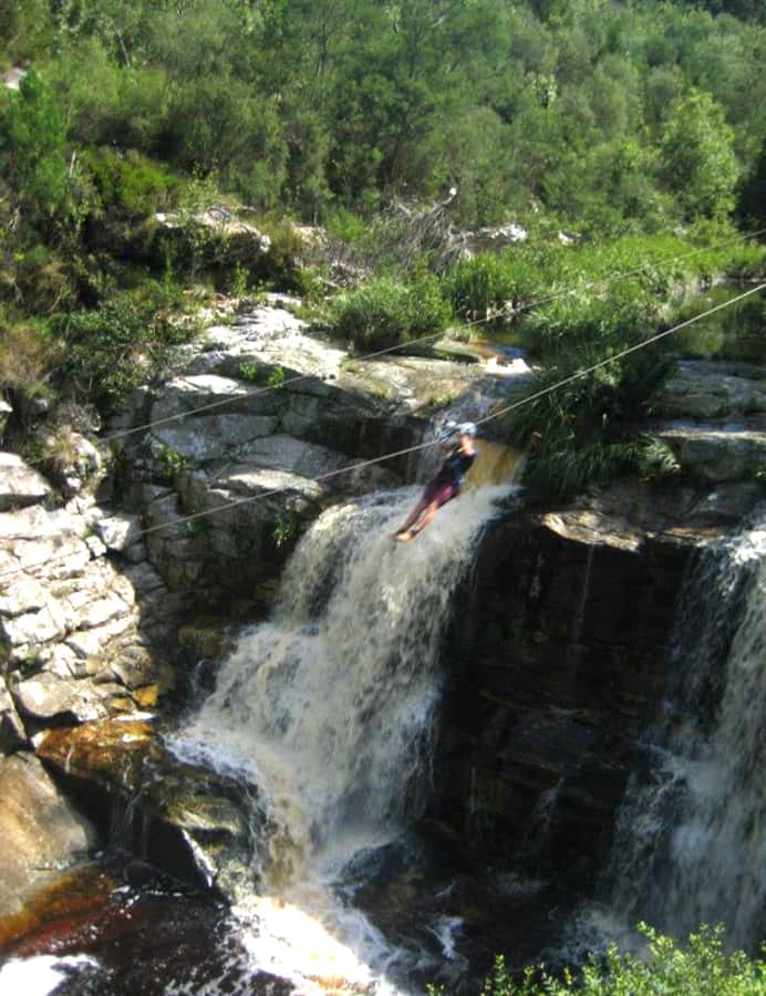 From Cape Town: 7-Day Garden Route, Addo and Winelands Combo - Addo safari drive plus Jeffreys Bay surf town time